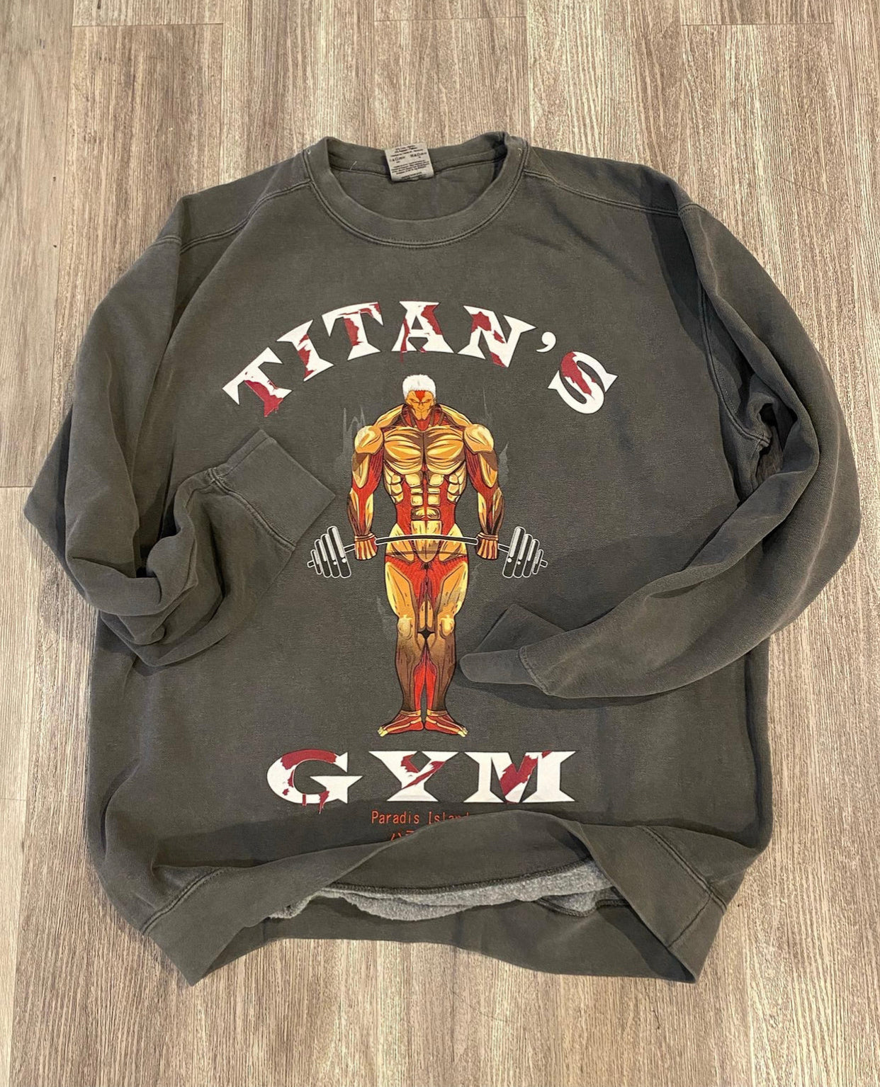 AOT GYM Heavyweight Sweatshirt