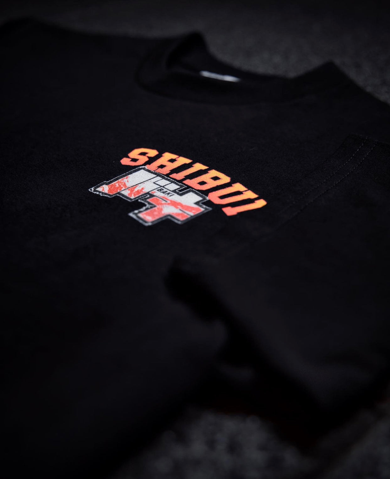 DEMON BACK Heavyweight Tee