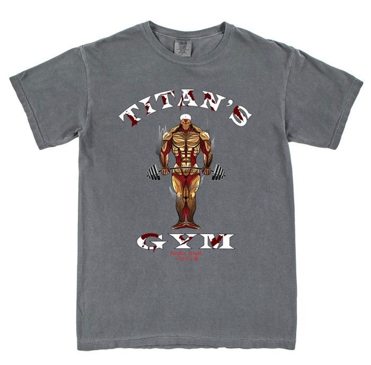AOT GYM Heavyweight Tee