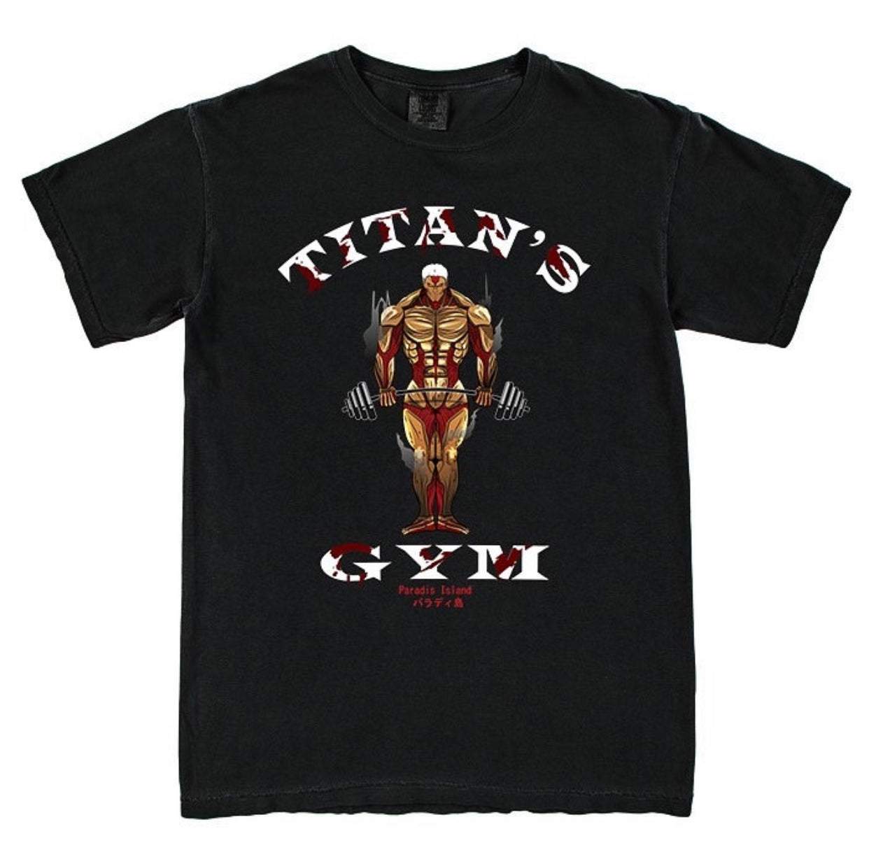 AOT GYM Heavyweight Tee